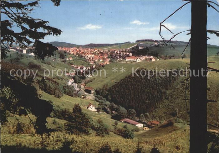 St Andreasberg Harz Bergstadt Blick vom Treibholz