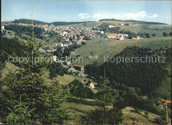 St Andreasberg Harz Blick vom Treibholz