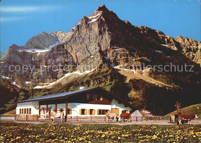 Engalm Rasthuette Kuehe Karwendelgebirge