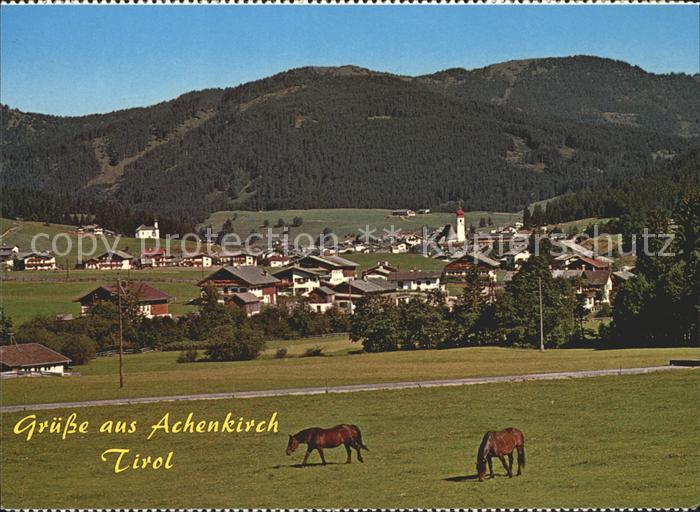 Achenkirch Panorama Pferde