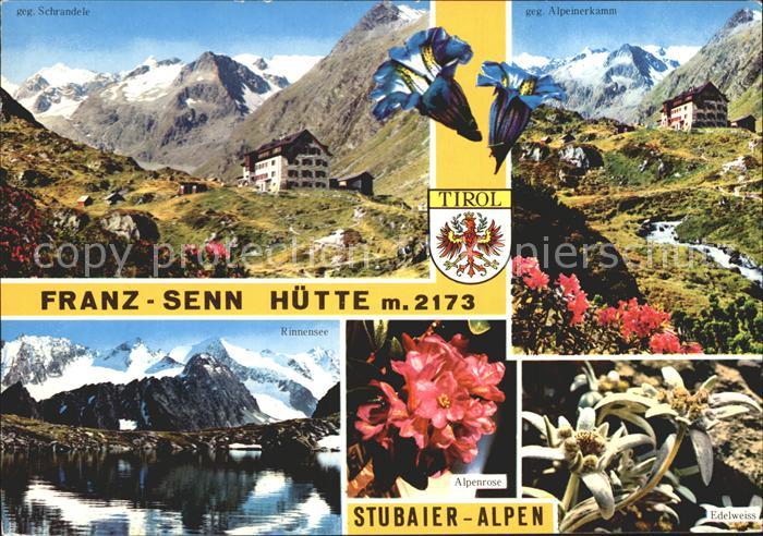 Franz Senn Huette Stubaier Alpen Bergsee Alpenrose Edelweiss