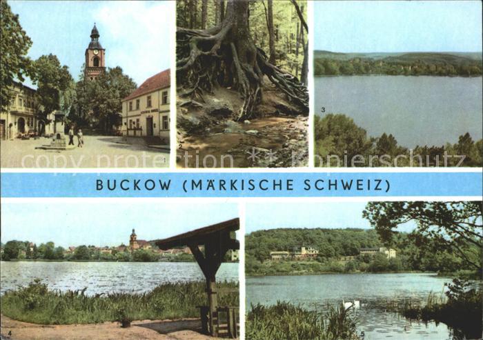 Buckow Maerkische Schweiz Markt Wurzelfichte Schermuetzelsee Bockowsee Griepense
