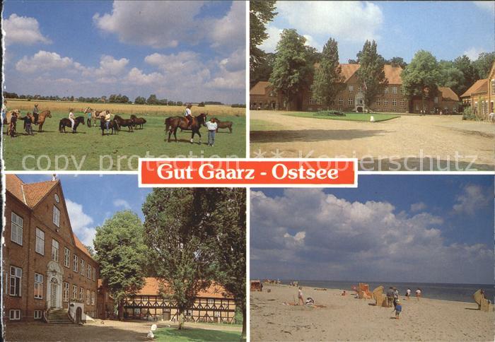 Oldenburg Holstein Gut Gaarz Pferde Strand
