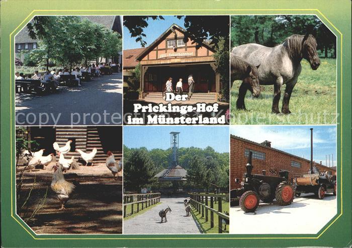 Sythen Europahof Prickings-Hof