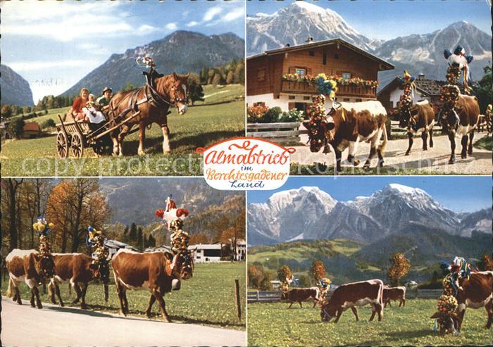 BERCHTESGADEN Bayern Almabtrieb