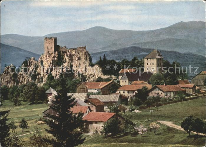 Regen Burgruine Weissenstein