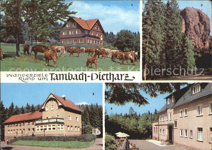 Dietharz Tambach Berghotel Ebertswiese Falkenstein Rodebachmuehle HOG Waldbaude