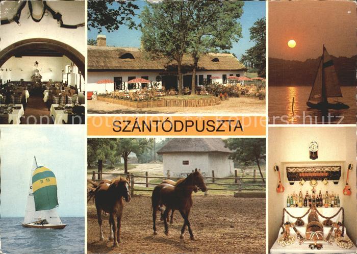 Szantodpuszta Restaurant am Plattensee Segeln Pferde Sonnenuntergang