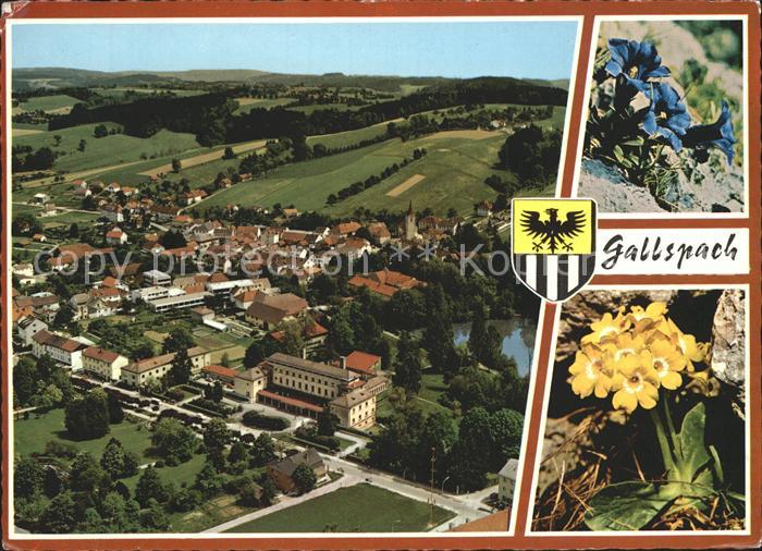 Gallspach Kurort Fliegeraufnahme Alpenflora Blauer Enzian