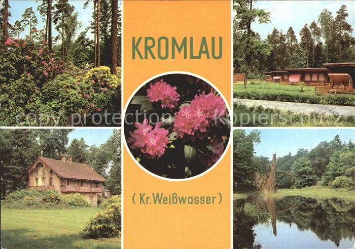 Kromlau Waldpartie Ferienhaeuser See Blumen
