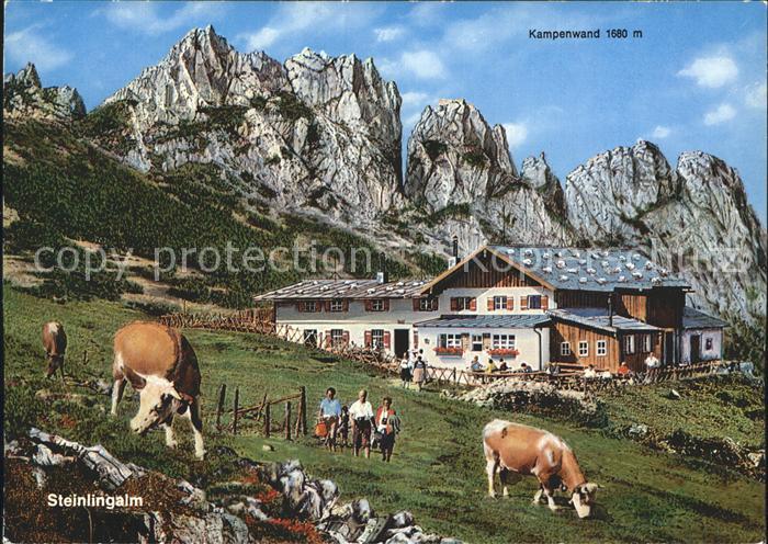 Aschau Chiemgau Steinlingalm Kuehe Kampenwand Chiemgauer Alpen