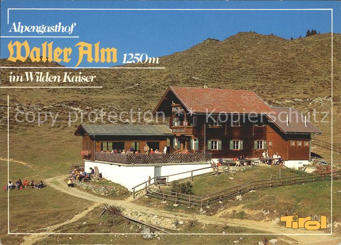 Scheffau Wilden Kaiser Alpengasthof Waller Alm