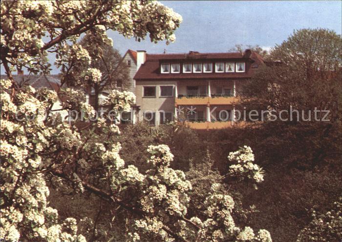 Romansthal Oberfranken Gasthof Zur schoenen Schnitterin Baumbluete