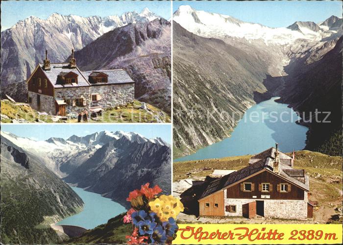 Olpererhuette Hochferner Gruppe Schlegeis Stausee Zillertaler Alpen Alpenflora