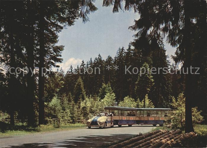 FREUDENSTADT BW Waldbaehnle Parkwald Schwarzwald