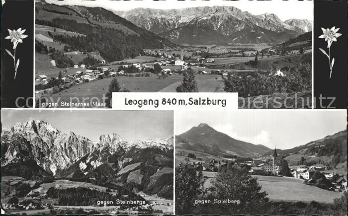 Leogang Spielberg Steinberge Steinernes Meer