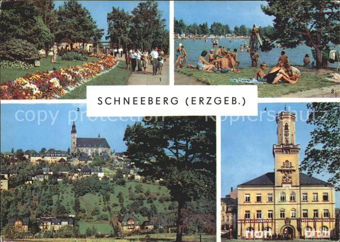 Schneeberg Erzgebirge Filzteich Kirche Rathaus
