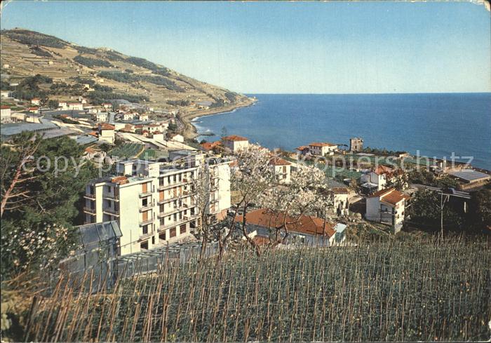 Cipressa Imperia Ansicht Aregai Gebiet