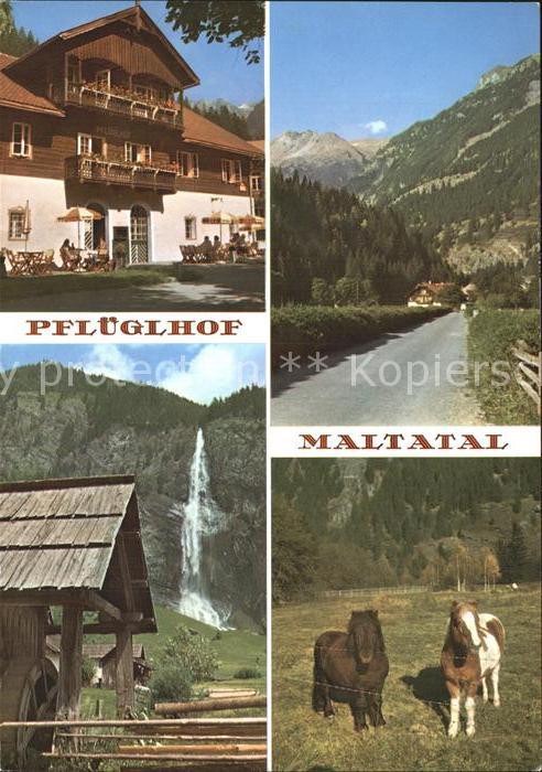 Maltatal Kaernten Alpenhotel Pflueglhof Pferde