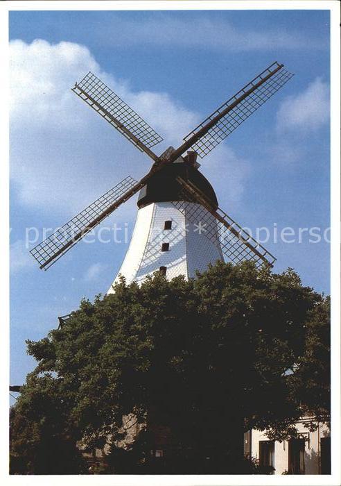 Windmuehle Kappeln Schlei