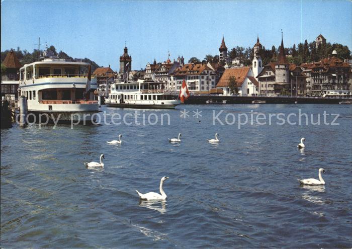 Motorschiffe Luzern Schwaene