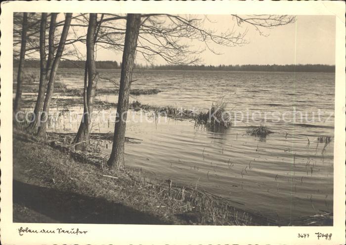 Foto Popp Nr. 3677 Erlau Seeufer