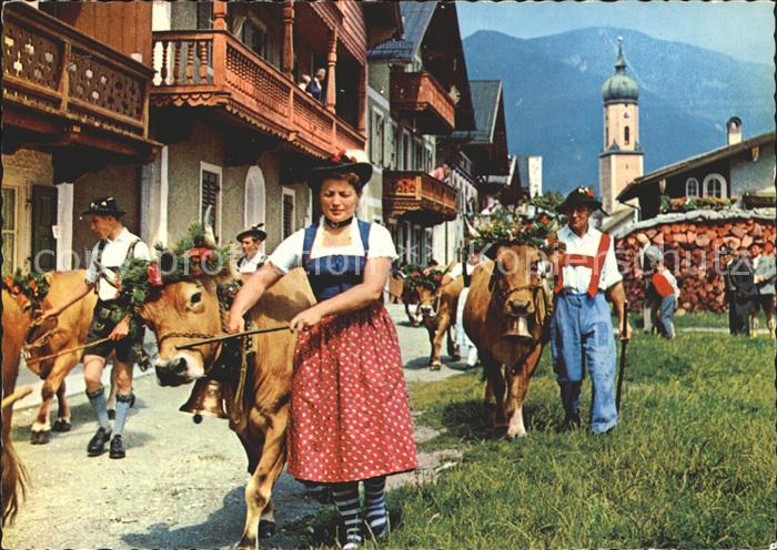 Kuehe Almabtrieb Festschmuck