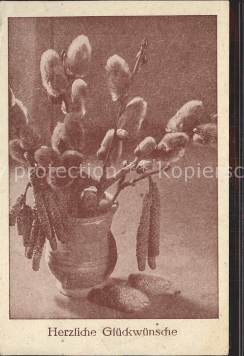 Ostern Easter Paques Glueckwunsch Weidenkaetzchen