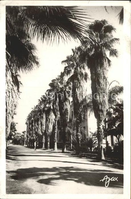 Alger Algerien Ecole Nationale d`Agriculture