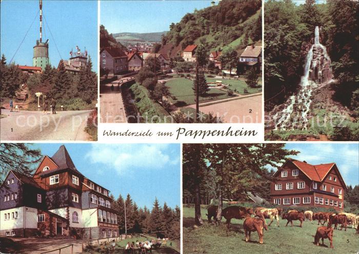 Pappenheim Thueringen Grosser-Inselsberg Spiessberghaus Hotel-Ebertswiese Truset