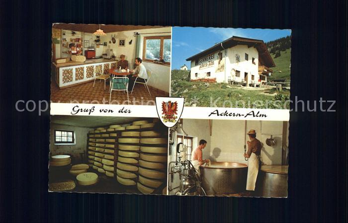 Thiersee Kaeserei Ackern-Alm