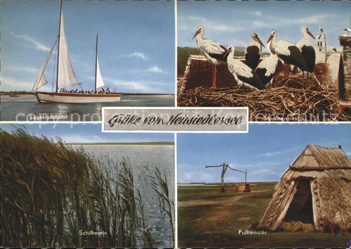 Oesterreich Neusiedlersee Storchen Pusstamotiv