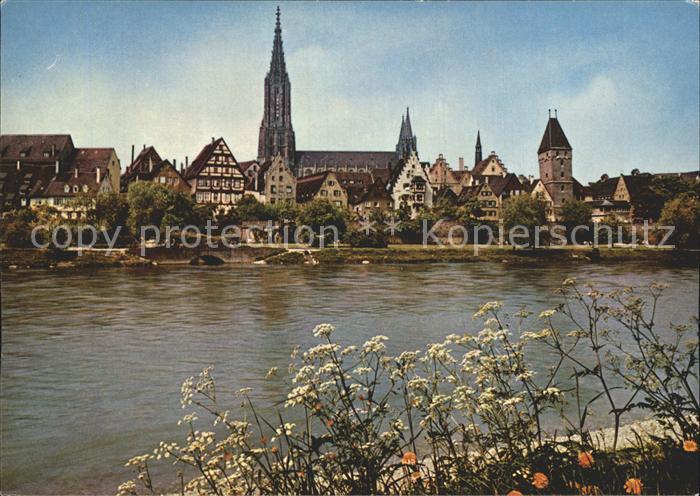 Ulm Donau Donaupartie mit Muenster