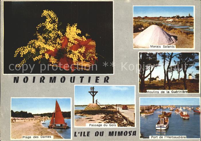 Ile de Noirmoutier Strand Moulins Marais-Salants