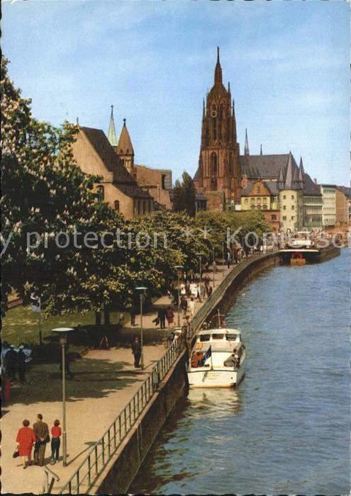 Frankfurt Main Mainpromenade Dom