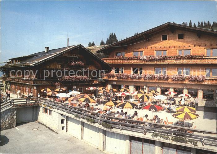 Zell Ziller Tirol Alpengasthof Enzianhof