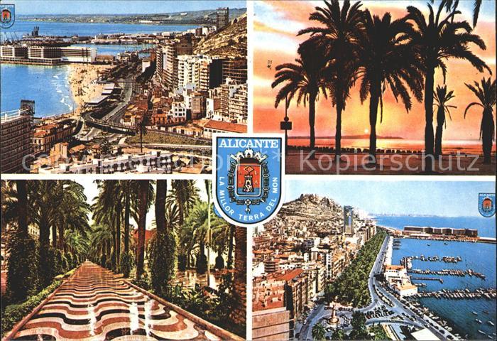 Alicante Palmen Hafen