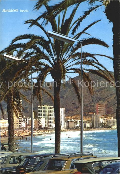 Benidorm Palmen Strand Hotels