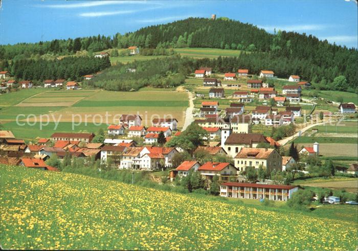 Rimbach Bayrischer Wald Erholungsort mit Burg Lichtenegg Sommerwiese