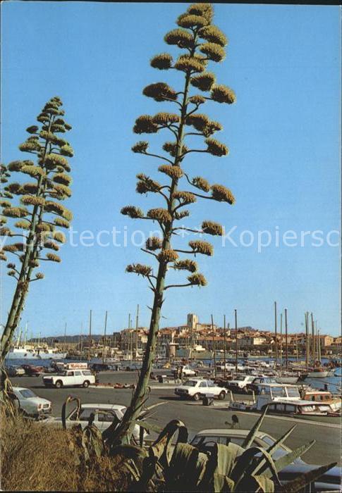 Antibes Alpes Maritimes Nouveau Port Vauban Cote d Azur