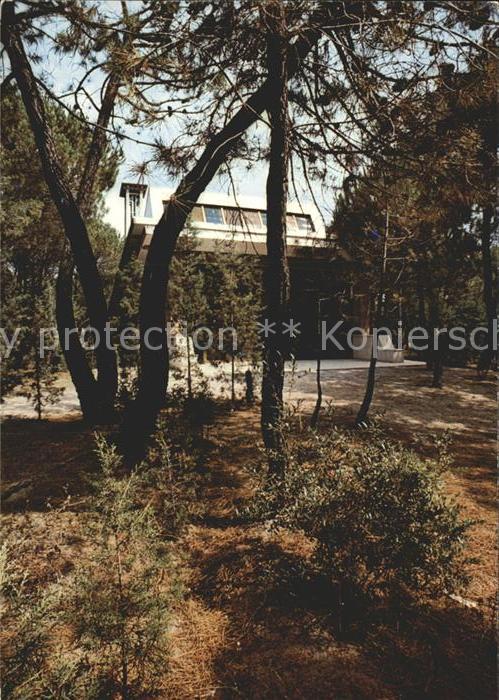 Principina a Mare Chiesetta immersa nella pineta