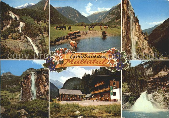Maltatal Kaernten Tal der stuerzenden Wasser Wasserfall Gmuender Huette Kuehe Pf
