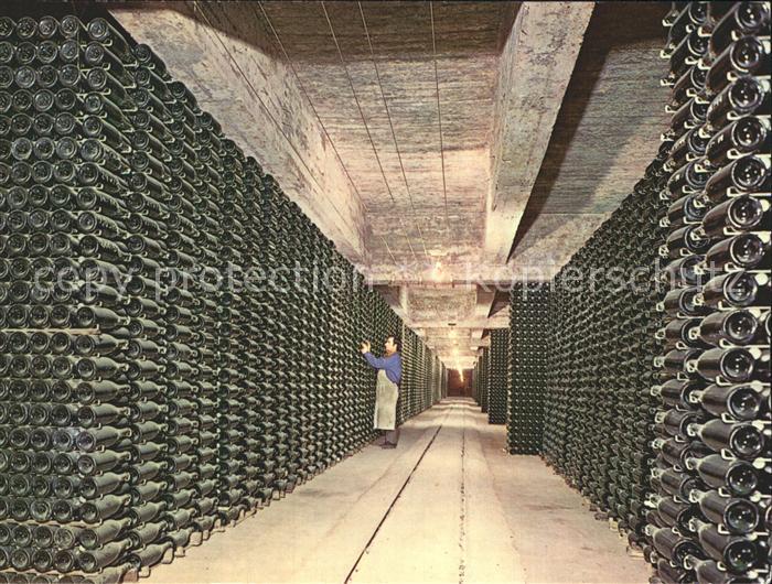 Cavas Codorniu Botellas envejeciendo Sektkellerei