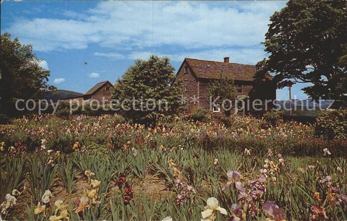 Williamstown Massachusetts Mann Hill Iris Gardens