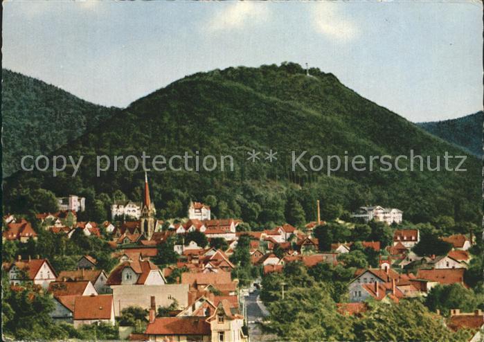 Bad Harzburg Burgberg