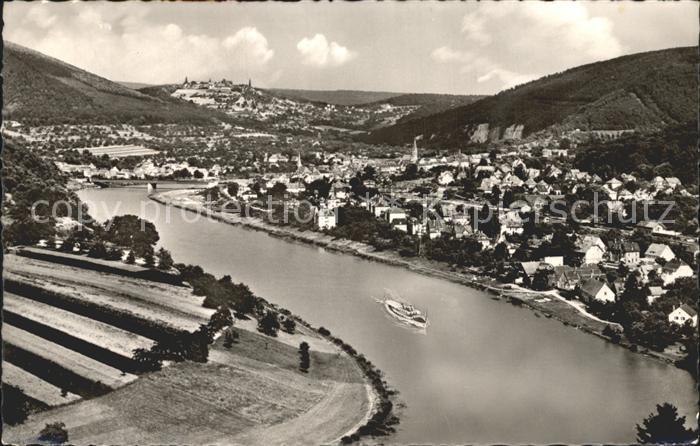 Neckargemuend mit Blick auf Dilsberg