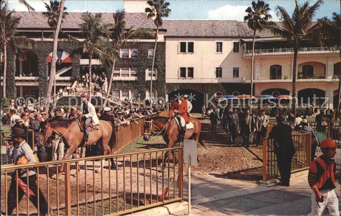 Miami Florida Paddock at Hialeah Park