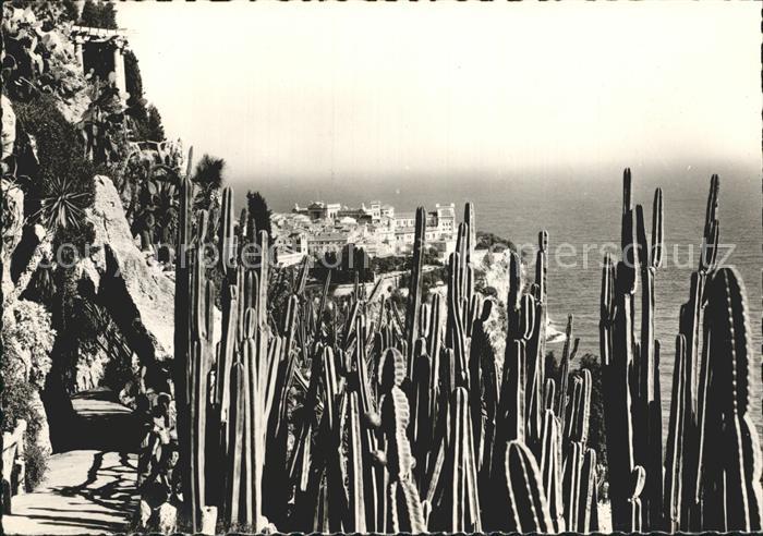 Monaco Jardin Exotique de Monaco Vue sur Monaco