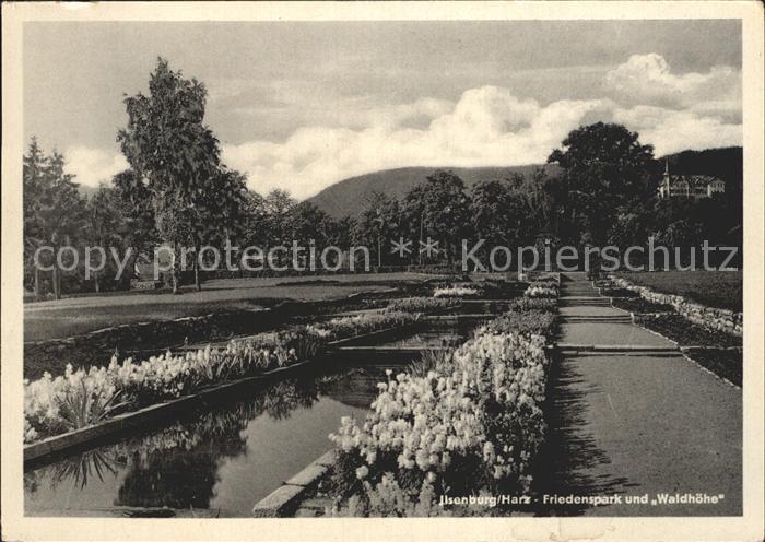 Ilsenburg Harz Friedenspark und Waldhoehe