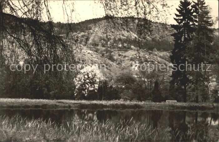 Wutha-Farnroda Park und kleiner Hoerstelberg